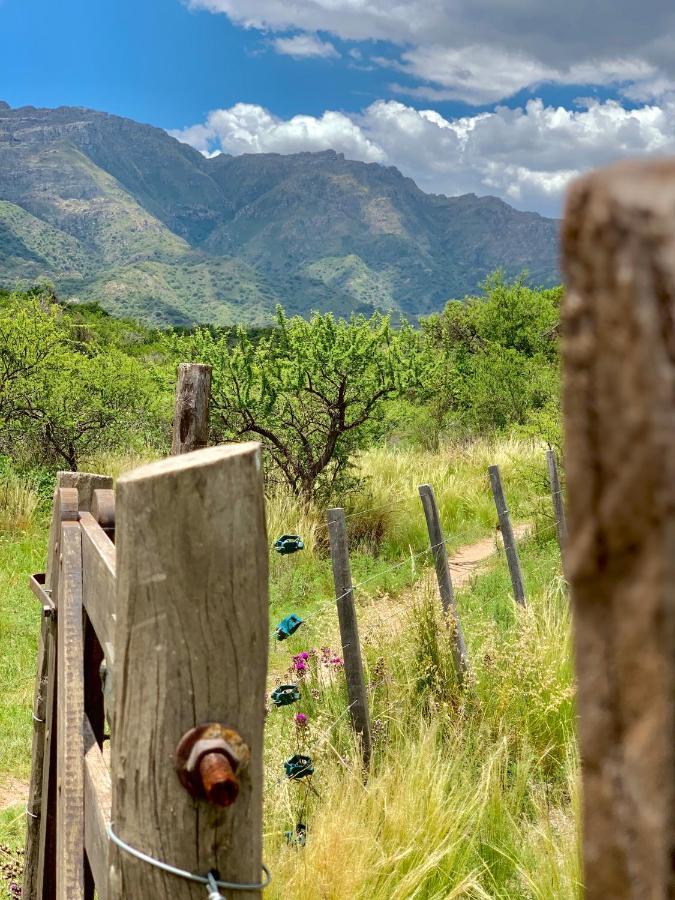 Cabanas San Miguel Cortaderas Kültér fotó