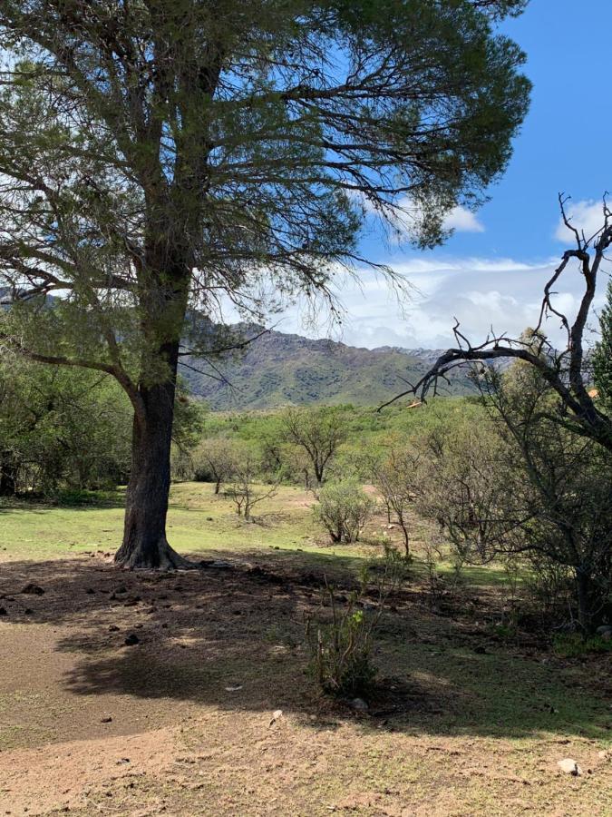 Cabanas San Miguel Cortaderas Kültér fotó