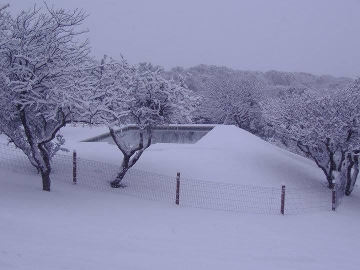 Cabanas San Miguel Cortaderas Kültér fotó